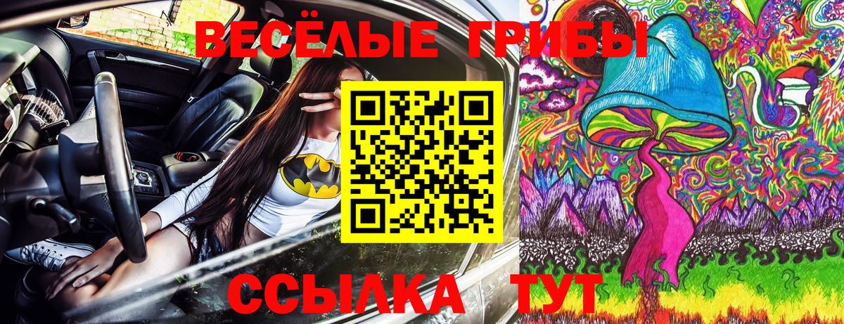 Псилоцибиновые грибы Psilocybe  Вход с VPN  Лесной 