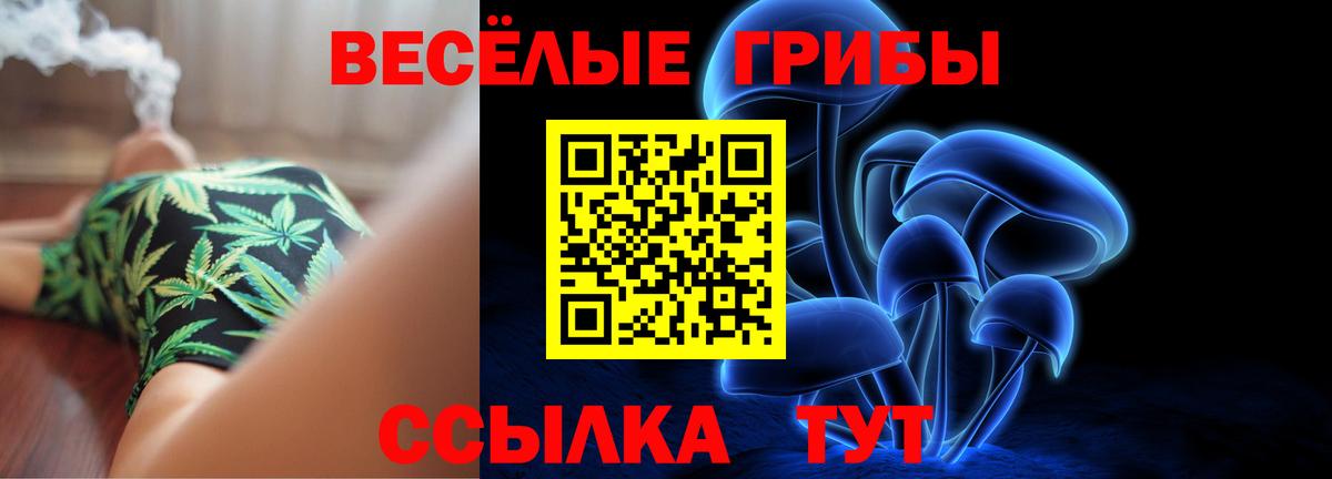 Галлюциногенные грибы Psilocybe Лесной